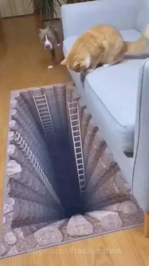 😂😂 by frankenstein