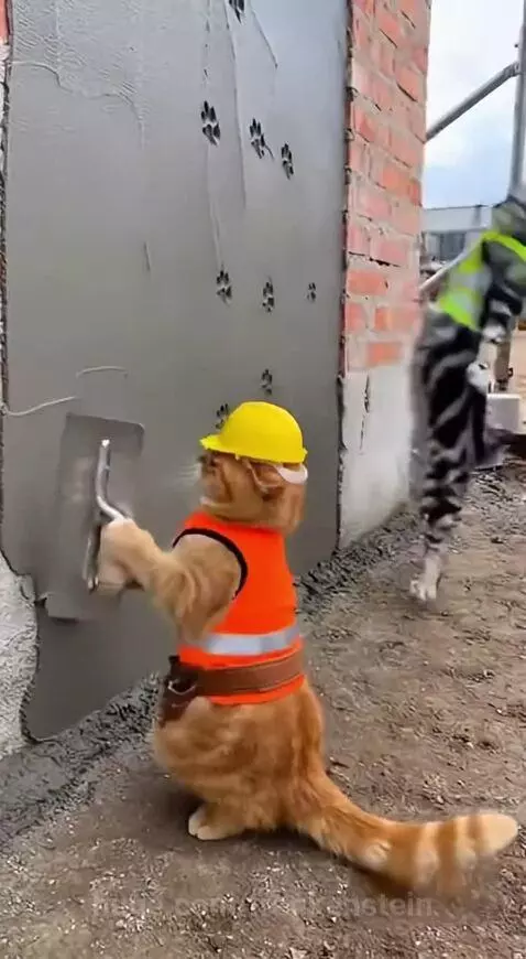 Two cats dressed as construction workers, one in a yellow hard hat and orange vest, the other in a green vest, at a construction site.