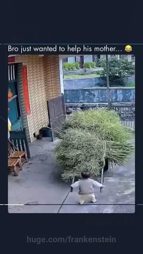 A small child in a vest attempts to push a large cart filled with green branches, with an adult woman helping.