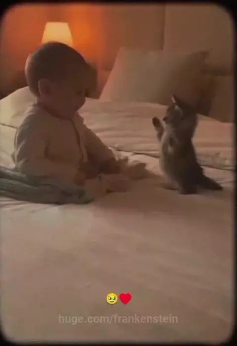 A baby in a onesie laughs as a tabby kitten playfully bats at them on a white bed.