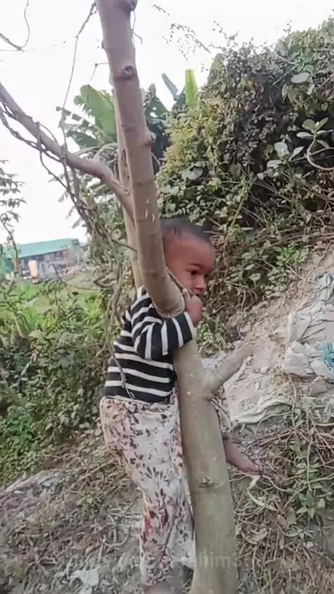 Cute baby by ibrahim369