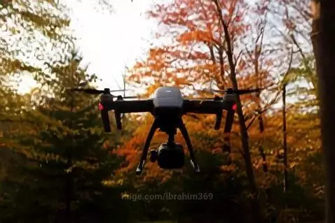 Black drone flying steadily between tall trees with red, orange, and yellow autumn leaves.
