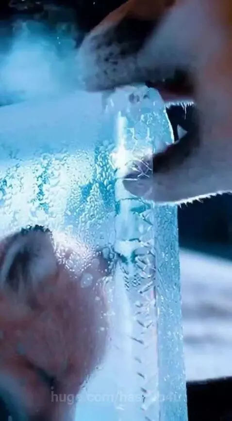 Mother fox breaking ice to rescue her cub trapped inside a glowing ice block.