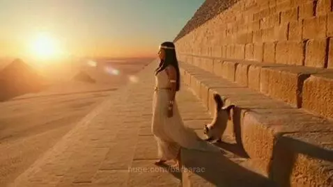 Woman in Egyptian attire and a Himalayan cat walk down stone pyramid steps at sunset.
