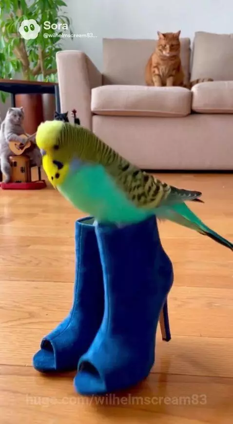 @irax what do you say?^^ by wilhelmscream83