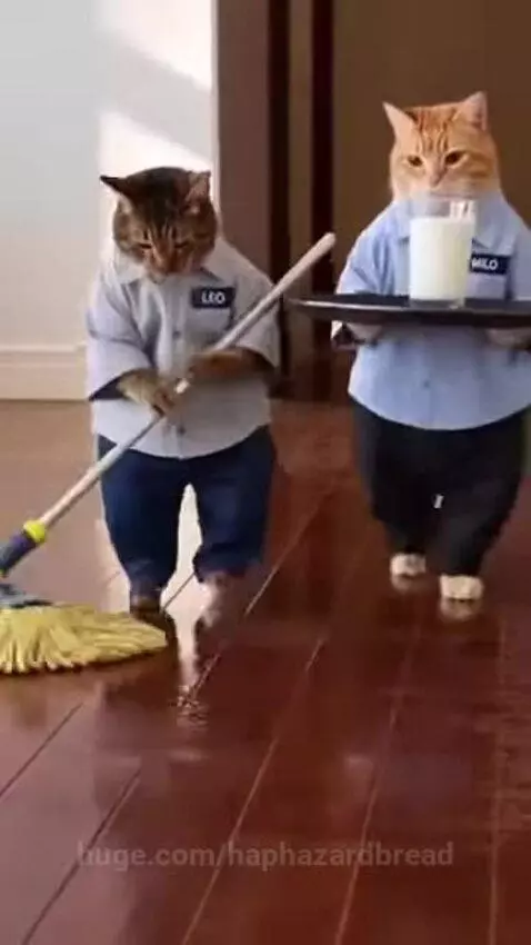 Two cats in work uniforms, one mopping and the other carrying milk, after a spill and subsequent fight.
