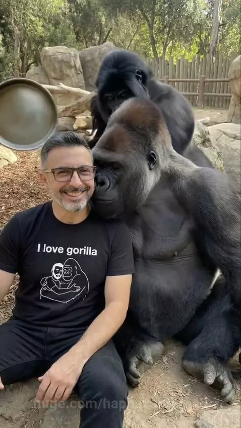 Man in 'I love gorilla' shirt nuzzled by a large gorilla, while a smaller gorilla holds a frying pan behind them.
