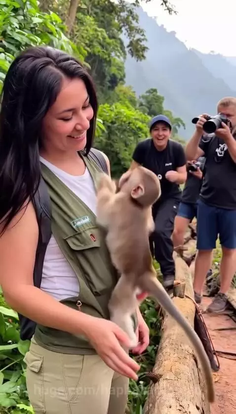 A baby monkey climbs onto a smiling woman's shoulder, gently touching her hair.