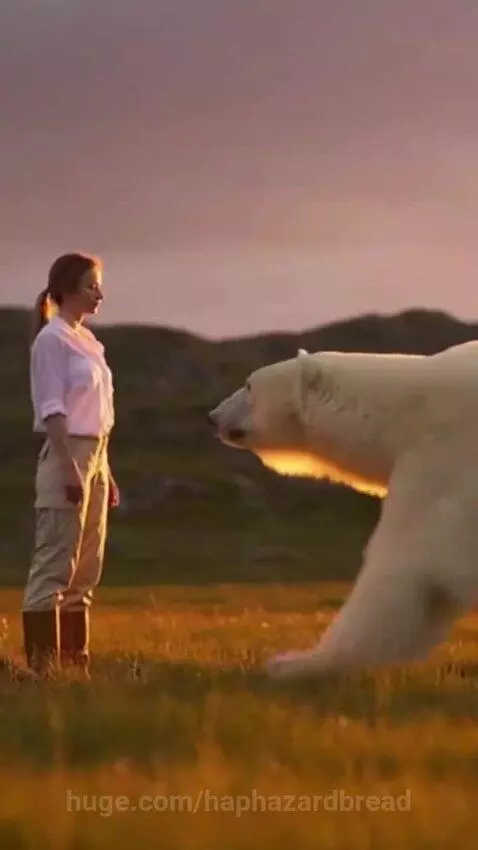 Woman and polar bear embracing in a field at sunset with distant hills.