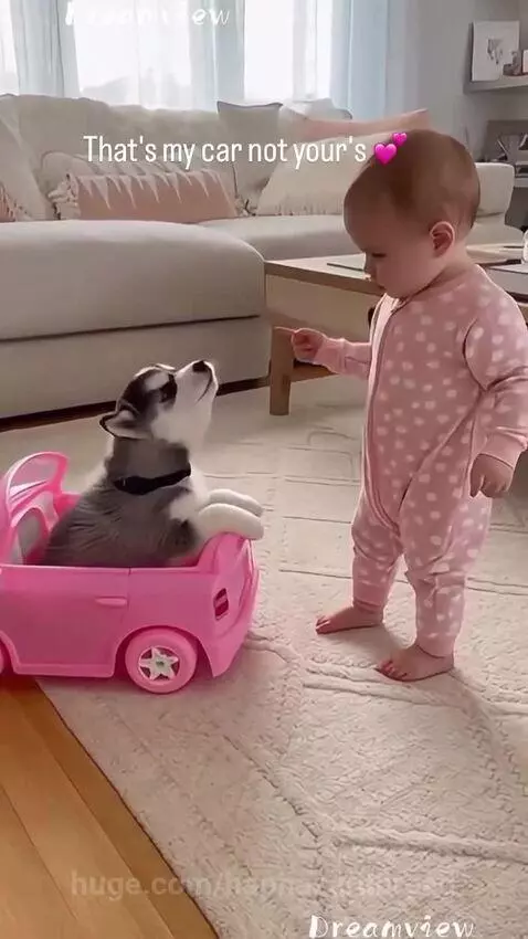 Baby in pink onesie hugging a husky puppy sitting in a toy car.