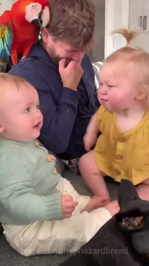 What is she saying. I can't stop laughing 😆 by haphazardbread