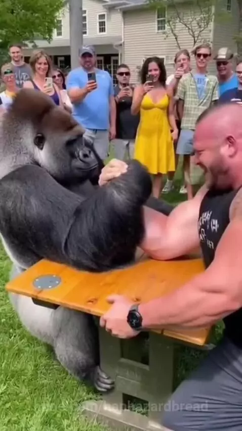 Muscular man and large gorilla arm wrestling at a wooden table in front of a cheering crowd.