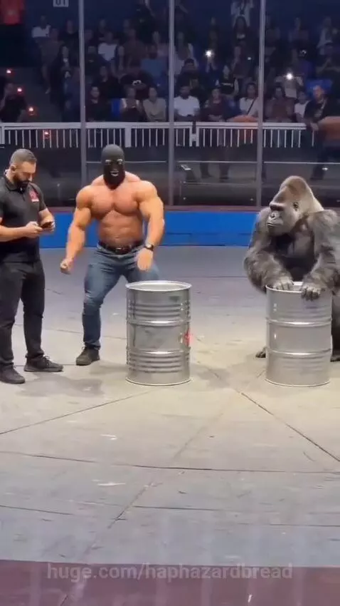 Muscular man and a person in a gorilla suit stand next to metal barrels in an arena, audience watching.