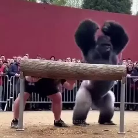 Clash of titans 🔥 🔥 🔥 😾 by haphazardbread