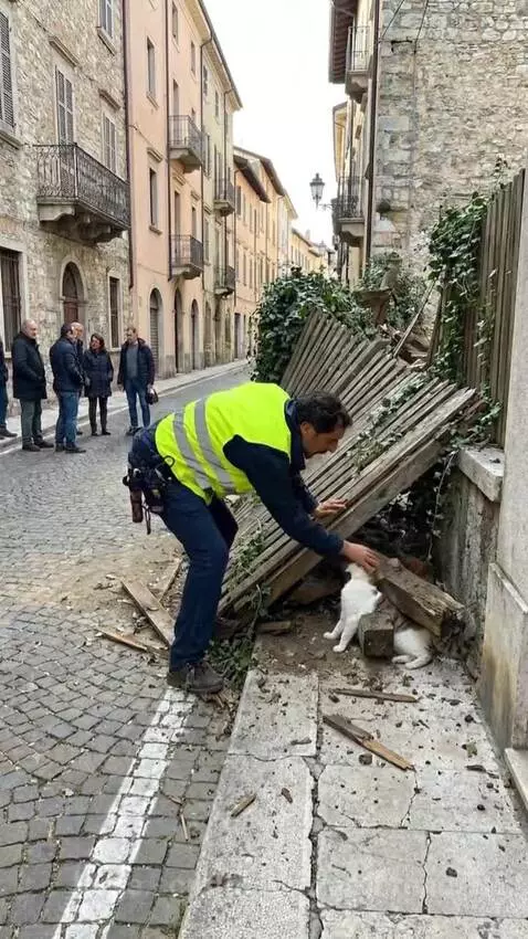 Man in high-visibility vest gently holding a white cat after rescuing it from fallen wooden debris.