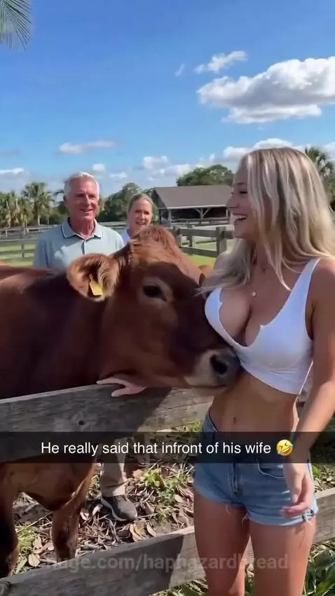 A young woman in a white crop top and denim shorts stands next to a cow, smiling as an older man asks her a question.