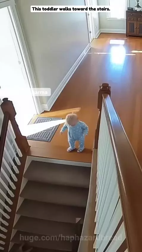 German Shepherd dog gently pushes a toddler away from the top of a staircase to prevent a fall.