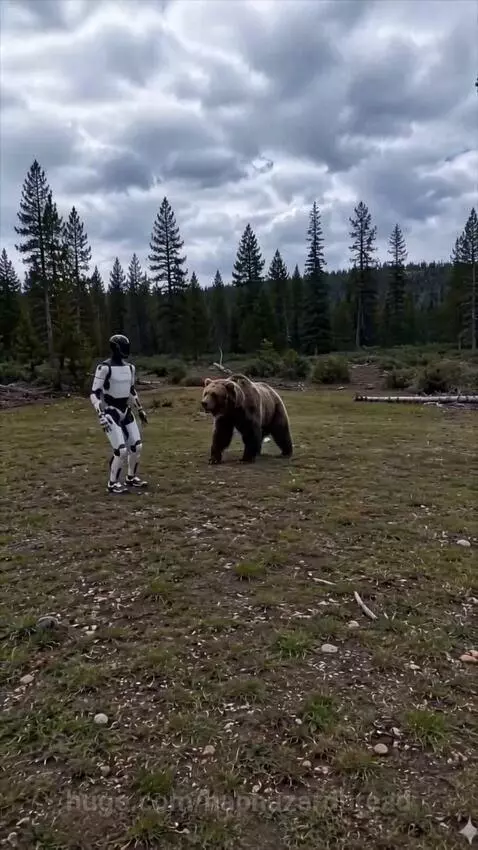 Tesla Optimus robot on the ground as a grizzly bear approaches it in a forest clearing.