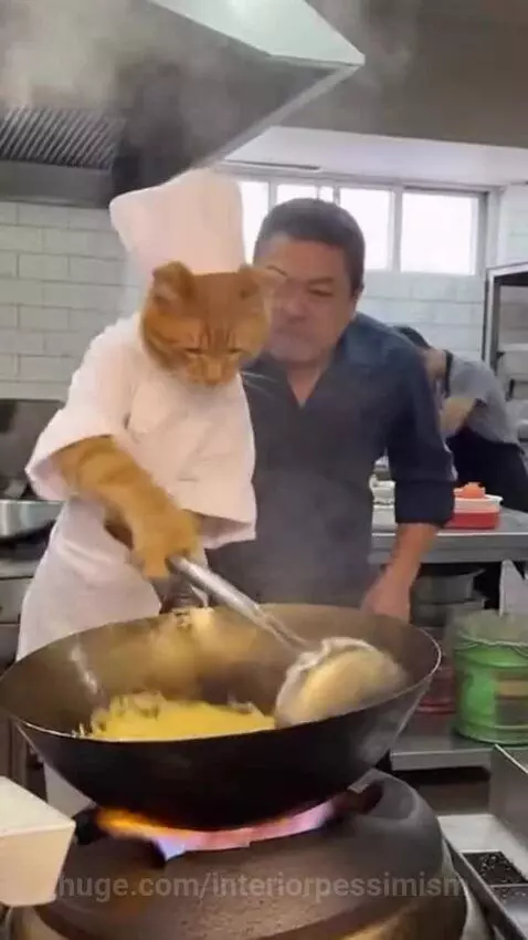 Orange cat wearing a chef hat and coat stirs food in a wok in a professional kitchen.