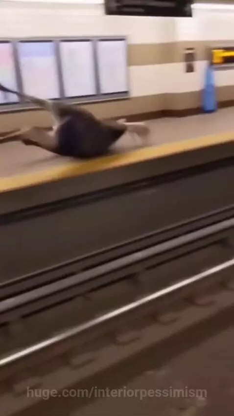 A moose lies on subway tracks as a train approaches, with shocked onlookers in the background.