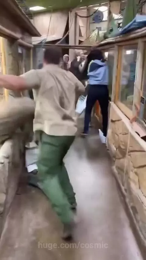 Break and Run by cosmic