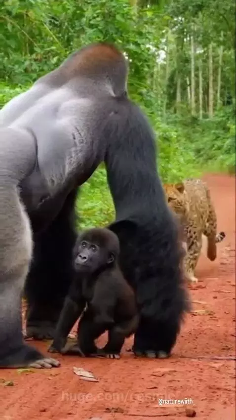 One PUNCH = Game over by cosmic