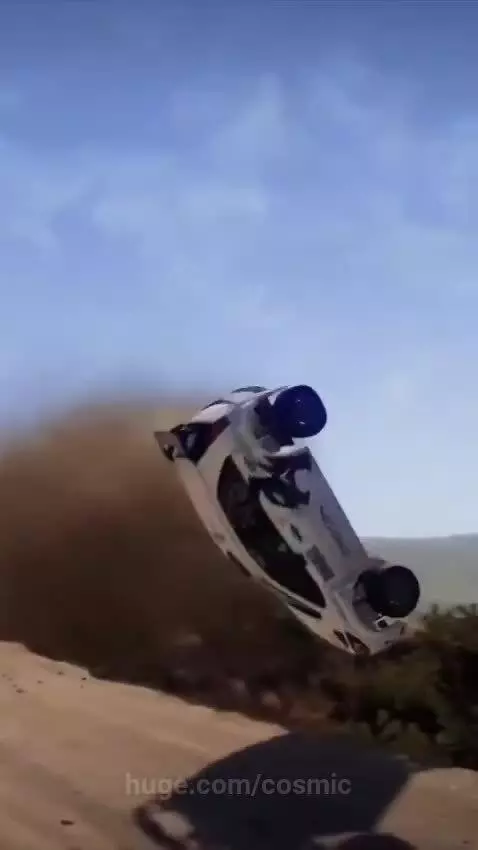 Two anthropomorphic cats in helmets and sunglasses inside a rally car, one driving, the other navigating.