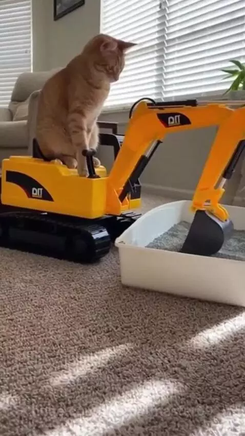 Orange tabby cat sitting on a yellow toy excavator, digging in a litter box indoors.