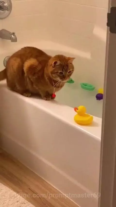 Paws on Duty by promptmaster69