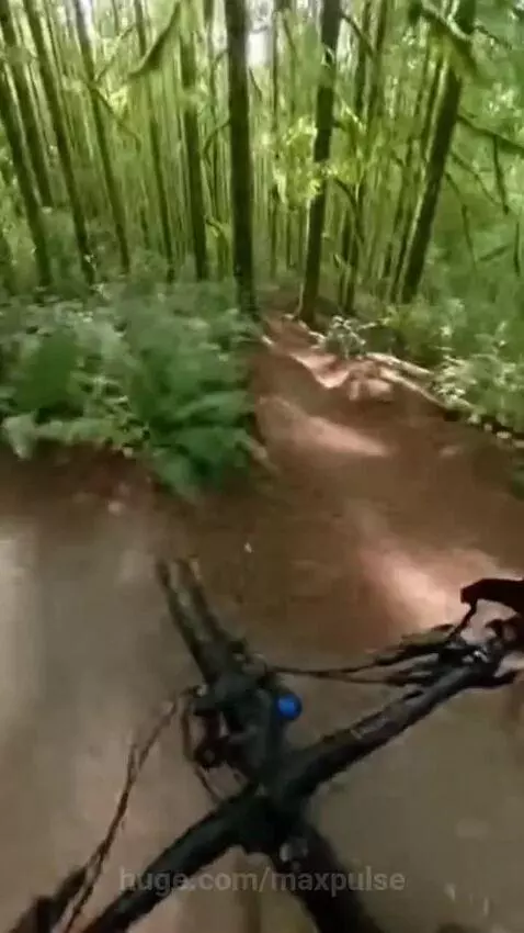 First-person view of mountain biking on a winding dirt trail through a dense, green forest.
