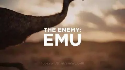 Soldiers with machine guns in the desert facing a large flock of emus during sunset.