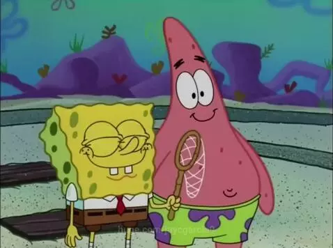 Spongebob Squarepants and Patrick Star stand underwater. Spongebob looks worried, Patrick holds a butterfly net with a surprised expression.