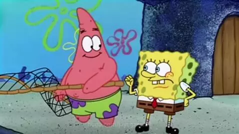 Spongebob screaming in distress next to a calm Patrick holding a butterfly net on the ocean floor.