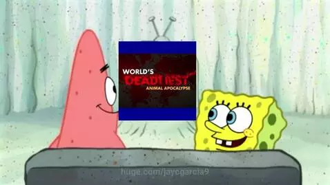 Spongebob and Patrick sitting on a couch watching a TV screen displaying 'WORLD'S DEADLIEST ANIMAL APOCALYPSE'.