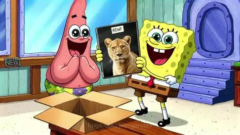 Spongebob Squarepants and Patrick Star holding a picture with 'REW F' and a cardboard box.