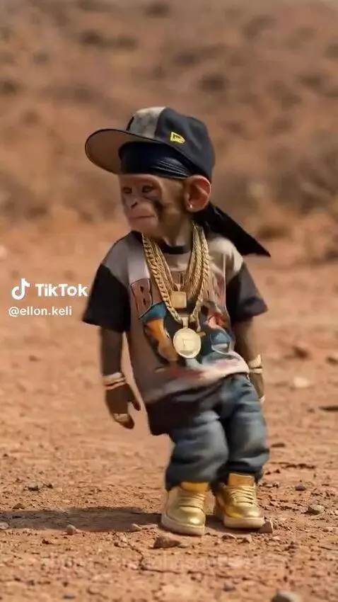 Baby monkey dressed in hip-hop clothes, including a backward cap and gold chains, dancing in an arid environment.