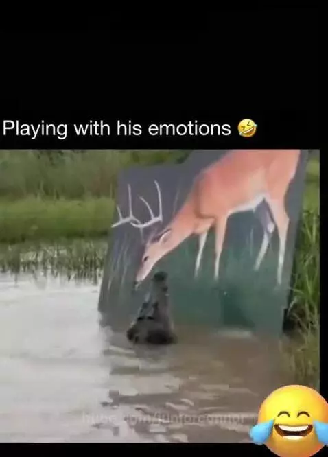 Crocodile lunging and biting a deer-shaped decoy in the water with green foliage in the background.