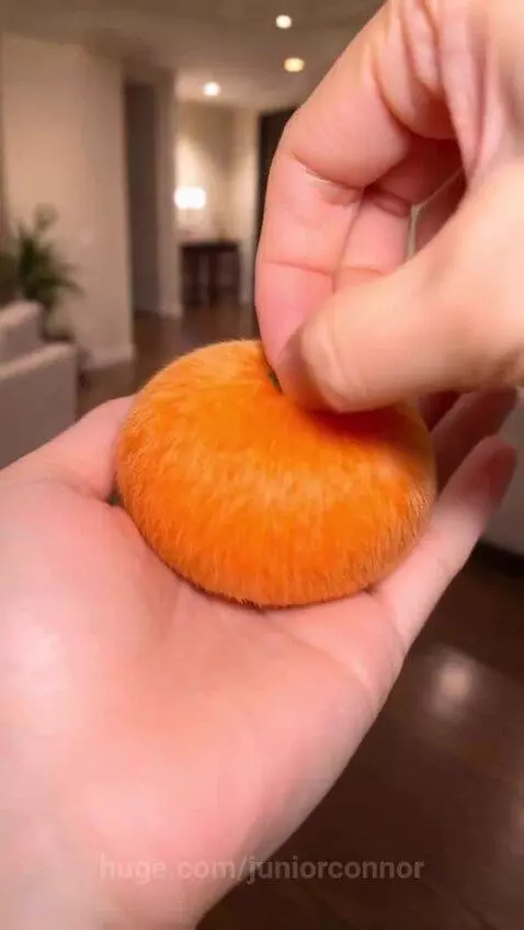 A hand peels open a fluffy orange object to reveal a tiny, sleeping ginger kitten nestled inside.