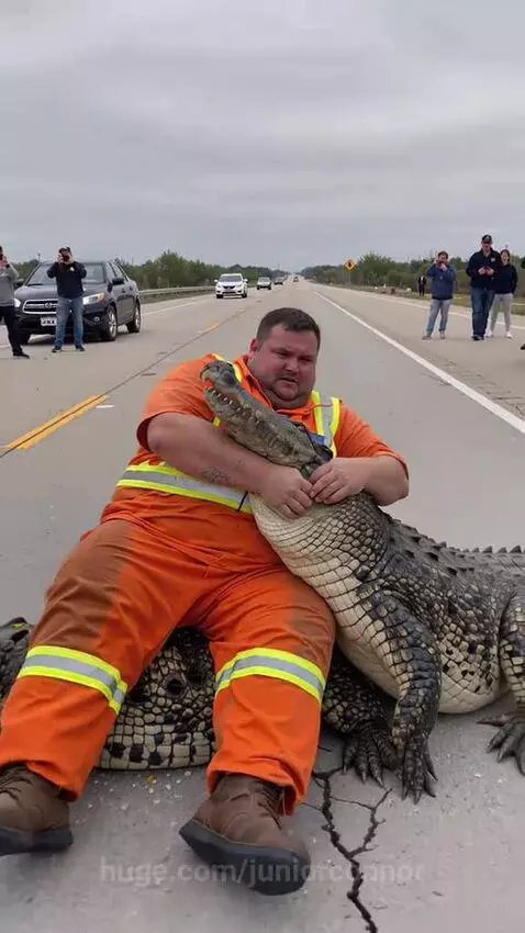 Man in orange jumpsuit sitting on a large alligator on a paved road, with another alligator beside him and onlookers.