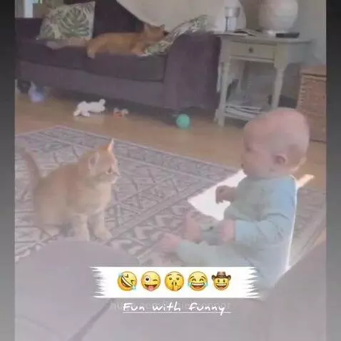 Baby in blue onesie points at a kitten while a mama cat watches protectively in a living room.