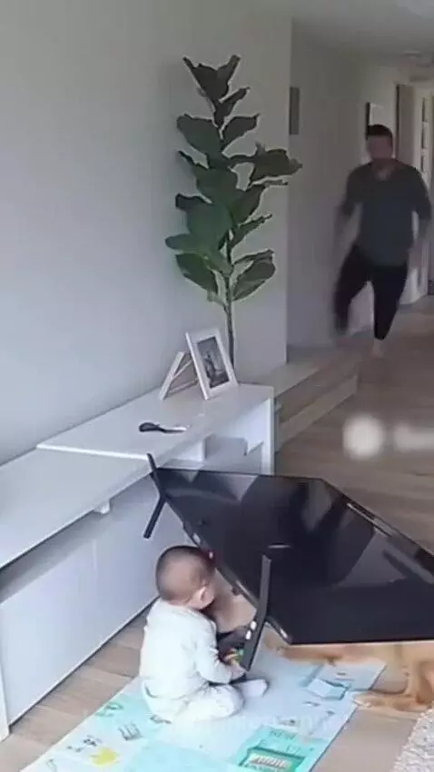 A baby sits on a playmat as a golden retriever jumps, causing a TV to fall; a man rushes to intervene.