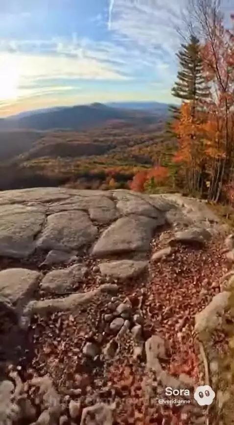 Hiker on a steep, rocky trail covered in autumn leaves with vibrant fall colors in the forest.