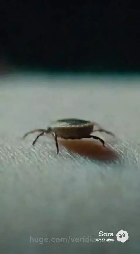 Distorted, eerie hallway with neon green lights and unsettling close-ups of medical horror elements.