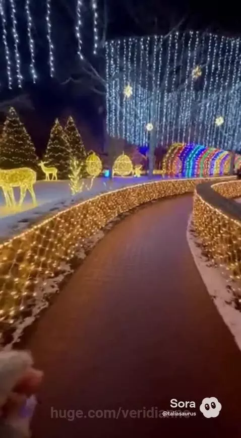Snowy pathway at night illuminated by numerous Christmas lights, trees, deer figures, and a rainbow light tunnel.