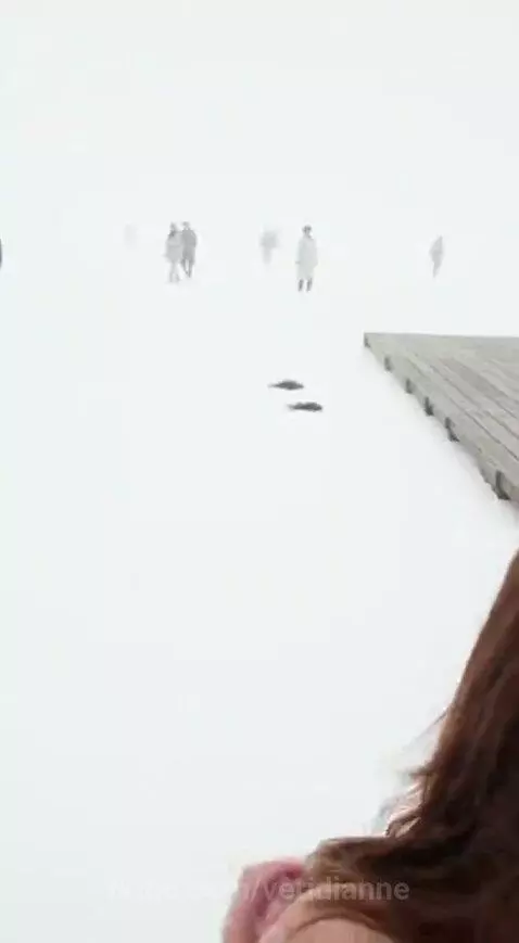 Person with long brown hair standing in a foggy landscape, pulling out hair strands.