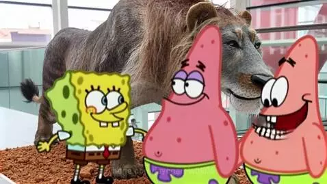 Spongebob and Patrick stand in front of a large, realistic lion statue, with Spongebob looking amazed.
