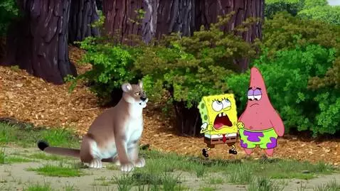 Spongebob and Patrick looking scared as a mountain lion hisses in a forest setting.