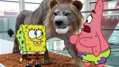 Spongebob and Patrick stand before a realistic lion statue, with Spongebob challenging it.