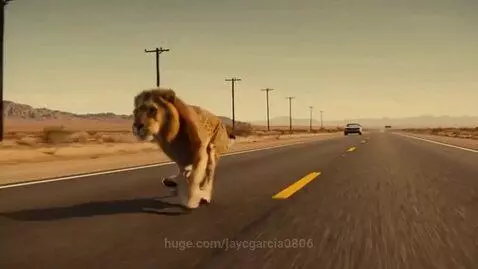 A large, lion-like feline, possibly a leopon, running on a desert highway with mountains and power lines in the background.