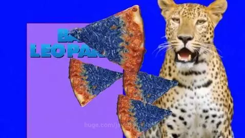 Leopard biting into a slice of pizza with blue topping on a blue background.